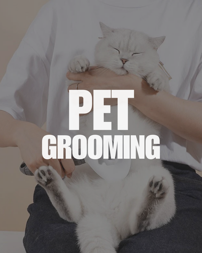 Grooming Tools